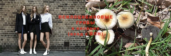 метадон Богородск