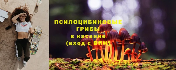 эйфоретик Богданович