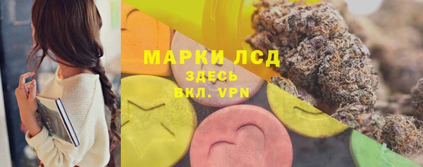 apvp Новозыбков